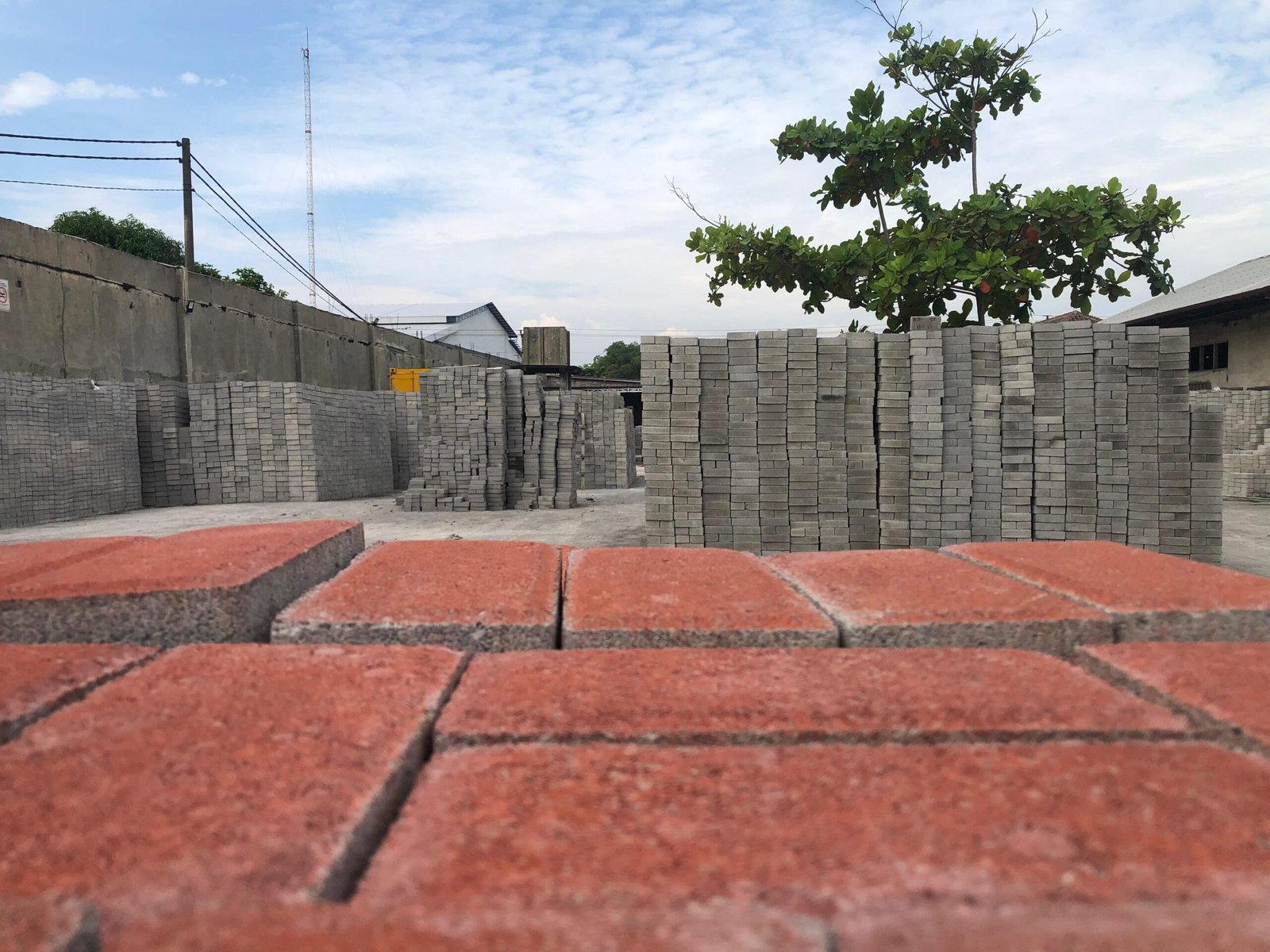 jual paving block